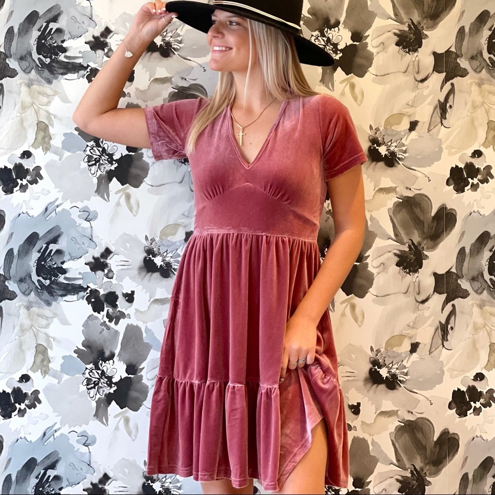 Wishlist Mauve Velvet Dress NWT